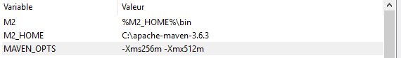 Maven environment variable